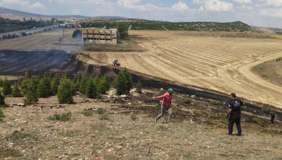 Ağaçlandırma sahasındaki yangın, erken müdahaleyle söndürüldü 8